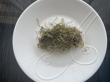 梅　皿